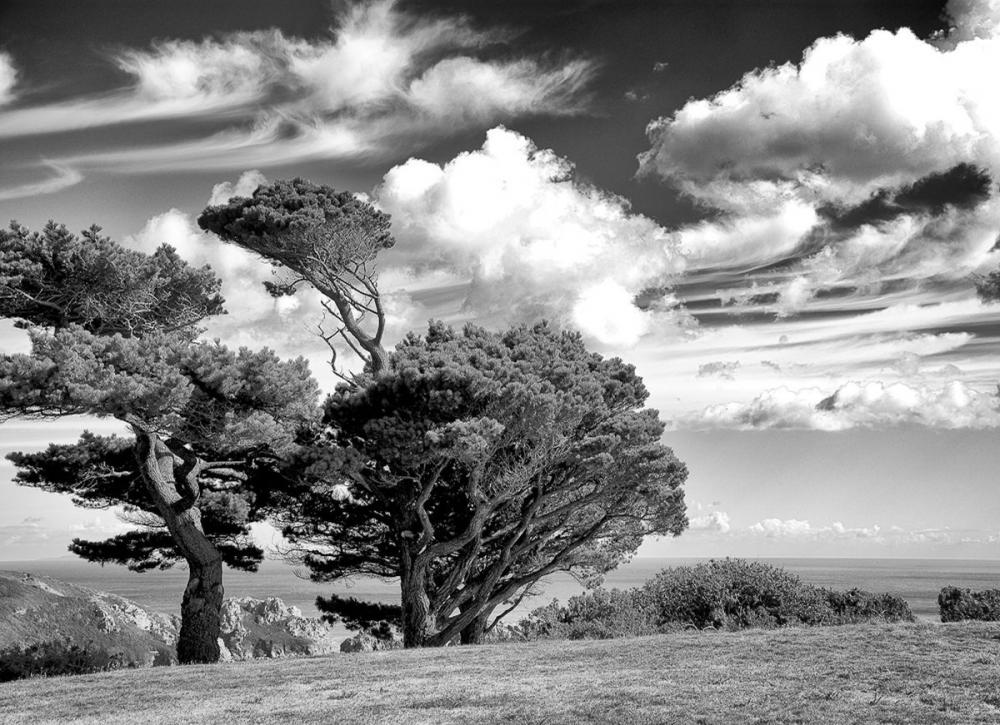1st Guernsey Clouds - Cliff Swift